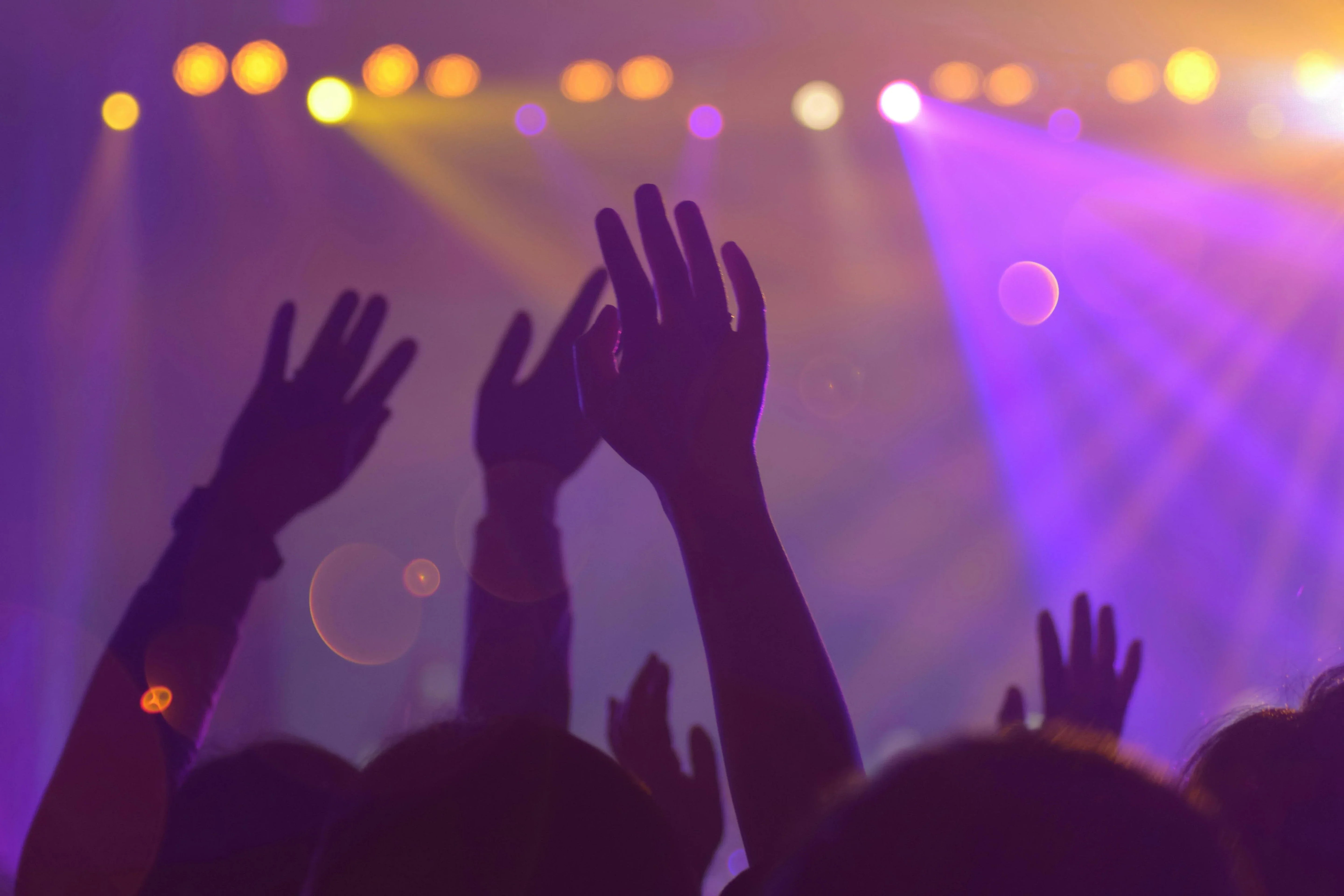 Tacos, Tunes, and Good Times: The Perfect Night Out
